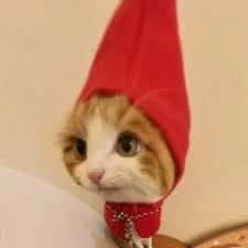 Nguyễn Lan Anh avatar